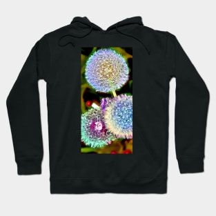 Dandelions Hoodie